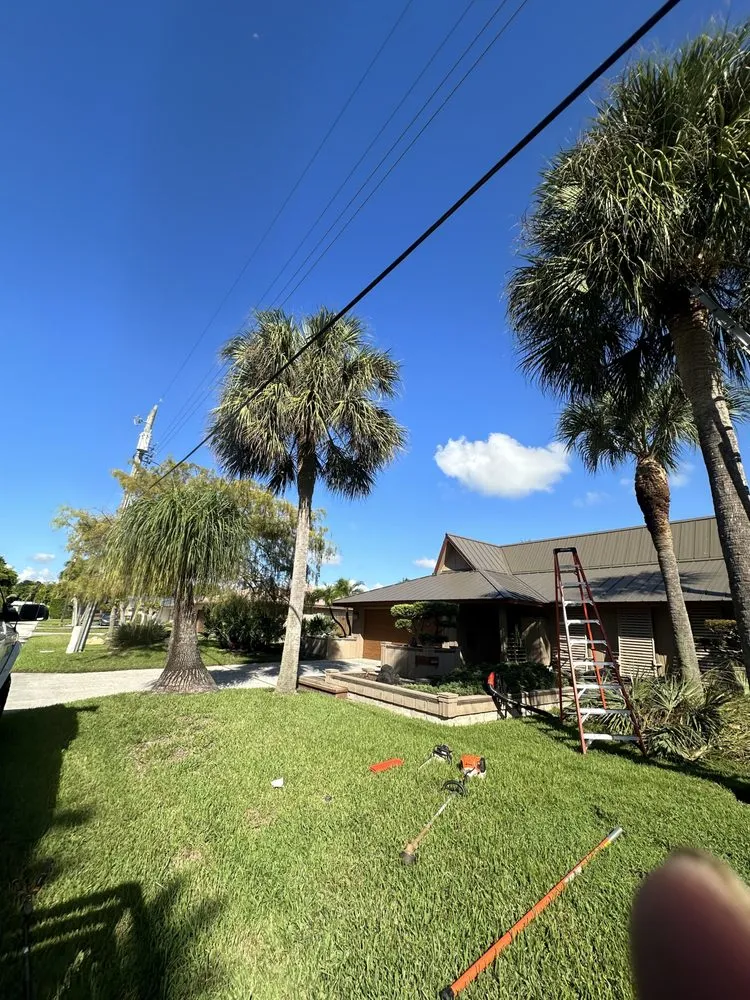 Top-rated outdoor landscaping in Pompano Beach, FL - Charly Tree Landscaping