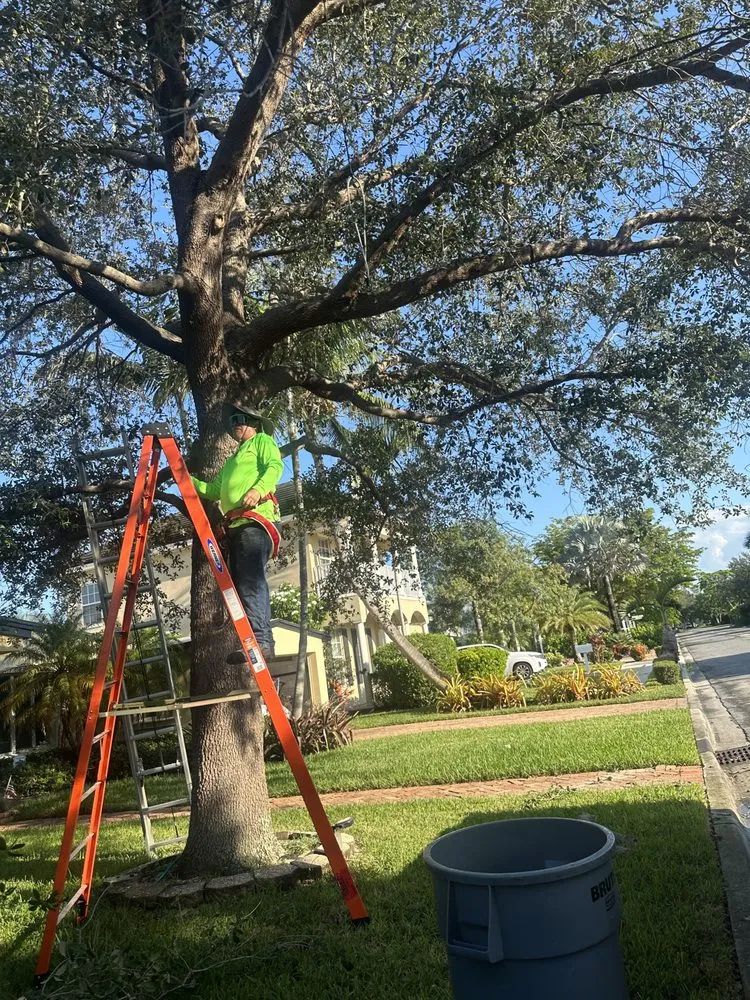 Reliable lawn mowing service for residential properties across Pompano Beach, FL - Charly Tree Landscaping
