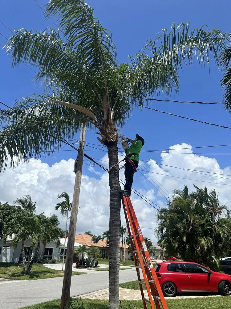 Reliable residential landscaping near you across Pompano Beach, FL - Charly Tree Landscaping