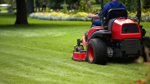 Charly's Lawn and Tree Care