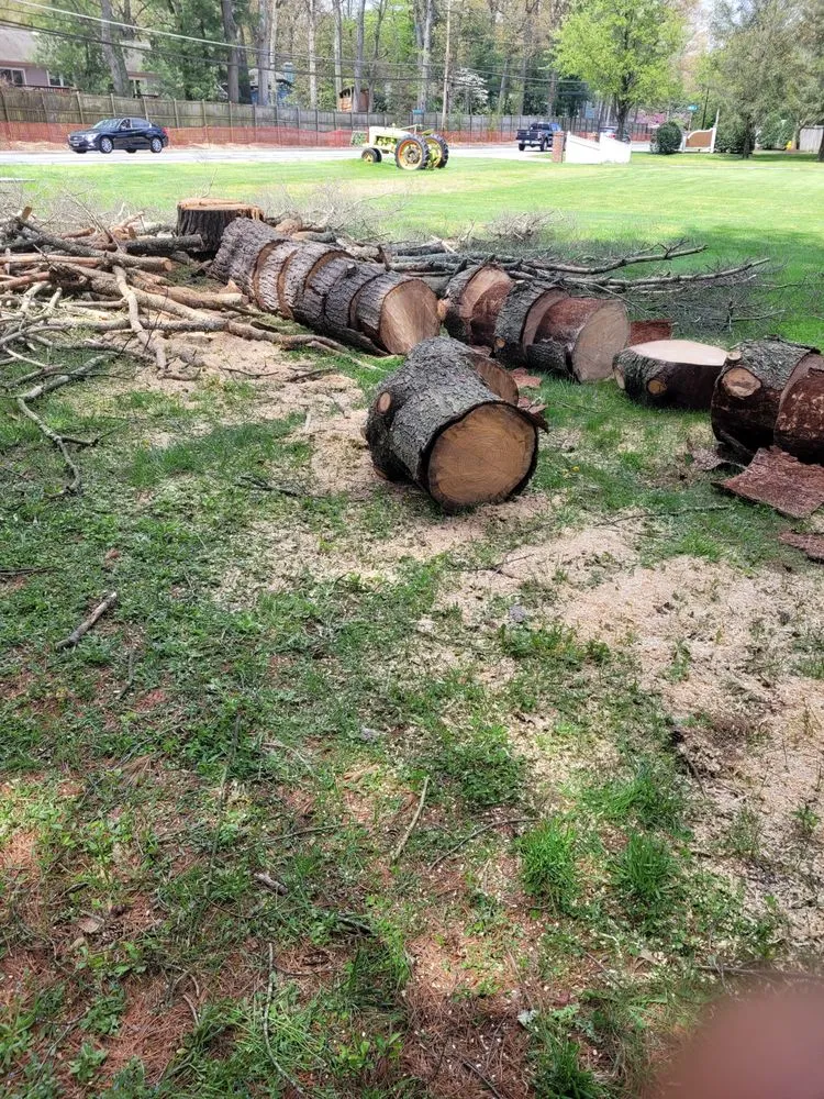 Local outdoor landscaping for year-round maintenance across Glen Burnie, MD - Charm City Exteriors