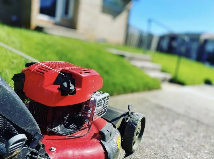 Trusted yard cleanup service experts serving Baltimore, MD - Charming Lawn Care