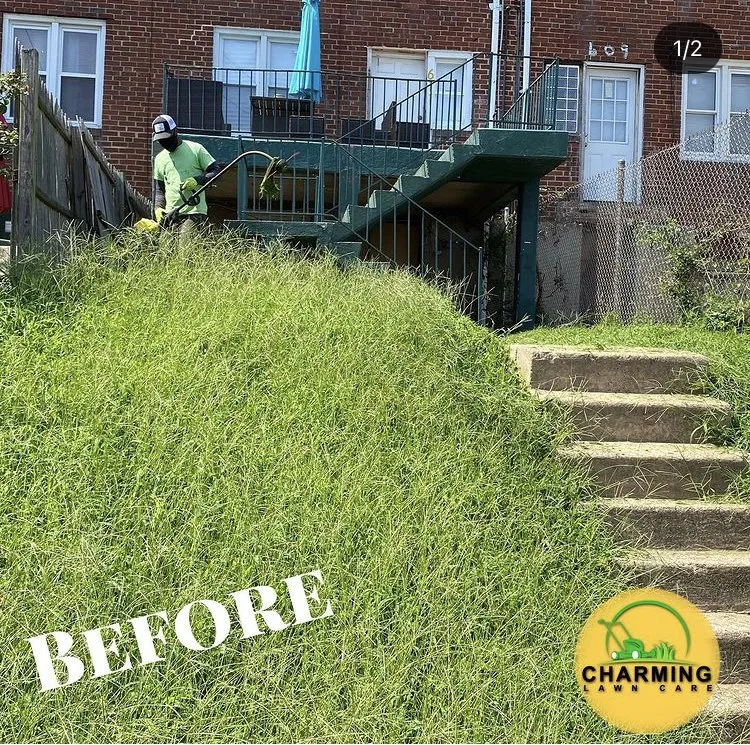Trusted yard maintenance in Baltimore, MD - Charming Lawn Care