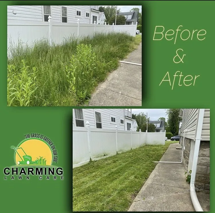 Reliable landscaping services in Baltimore, MD - Charming Lawn Care