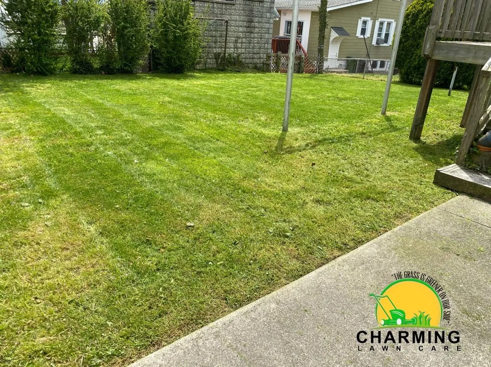 Expert residential landscaping experts serving Baltimore, MD - Charming Lawn Care