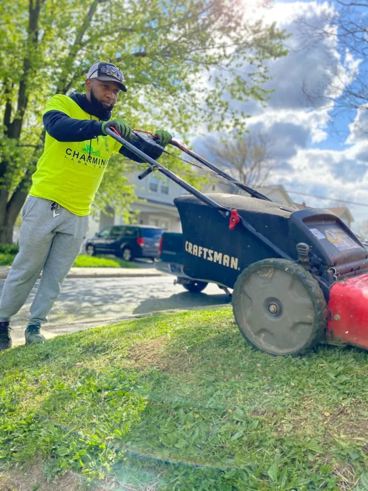 Affordable yard cleanup service in Baltimore, MD - Charming Lawn Care