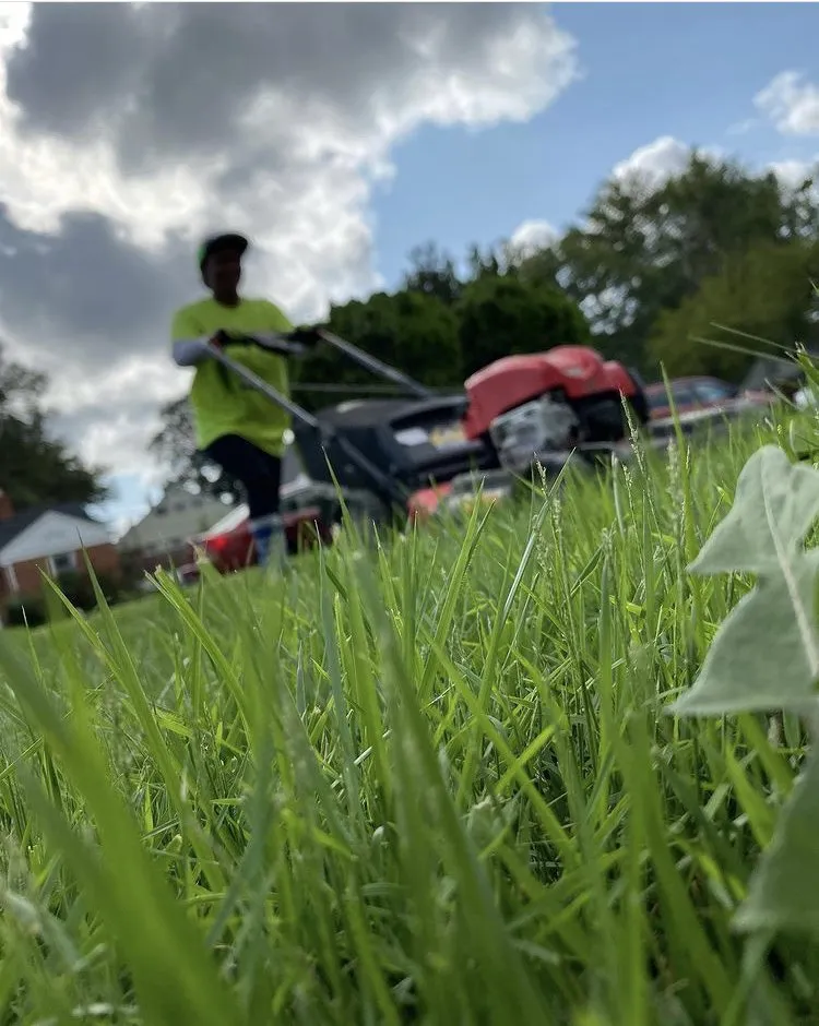 Professional residential landscaping in Baltimore, MD - Charming Lawn Care