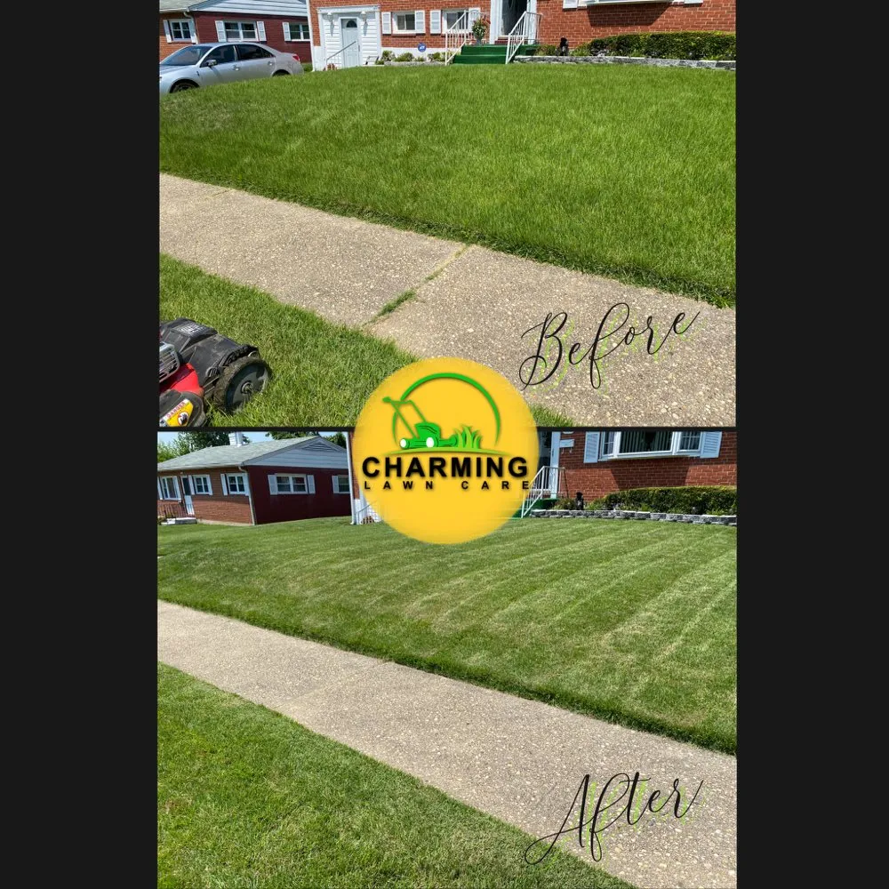 Expert lawn mowing service for beautiful yards in Baltimore, MD by Charming Lawn Care