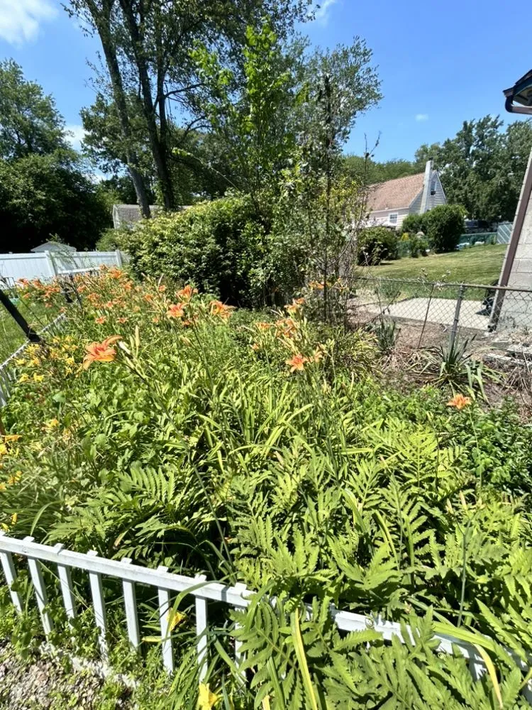 Top-rated yard maintenance near you across Bloomingdale, NJ - Charming Lawns Outdoor Services