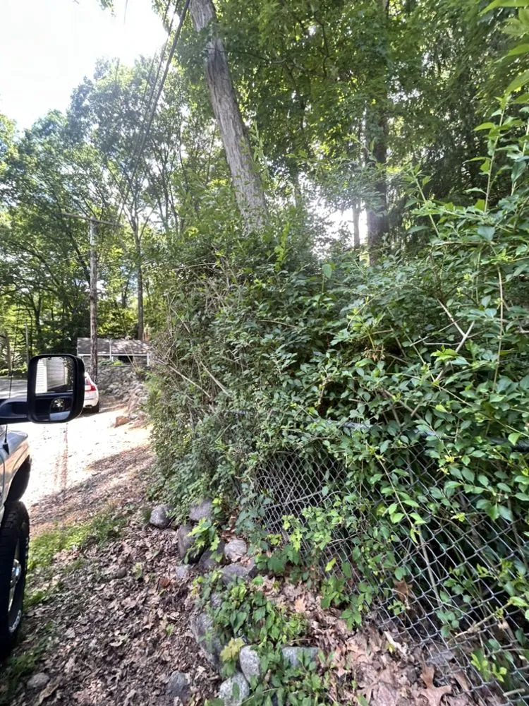 Trusted residential landscaping in Bloomingdale, NJ by Charming Lawns Outdoor Services