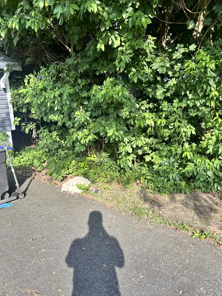 Affordable landscape installation in Bloomingdale, NJ - Charming Lawns Outdoor Services