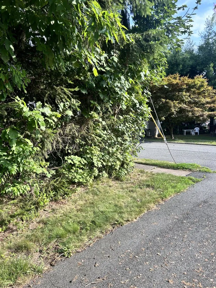 Professional garden landscaping in Bloomingdale, NJ by Charming Lawns Outdoor Services