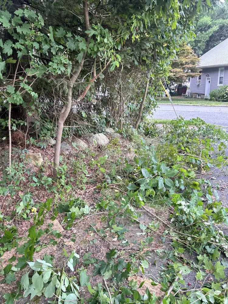 Expert garden landscaping for outdoor upgrades across Bloomingdale, NJ - Charming Lawns Outdoor Services