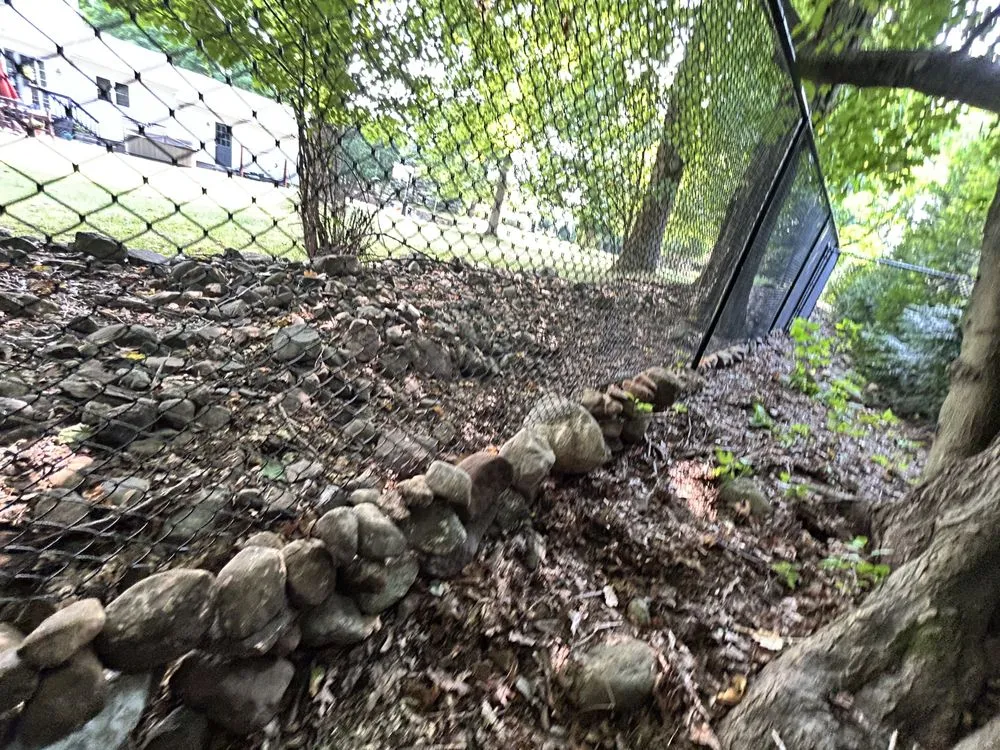 Professional yard cleanup service in Bloomingdale, NJ by Charming Lawns Outdoor Services