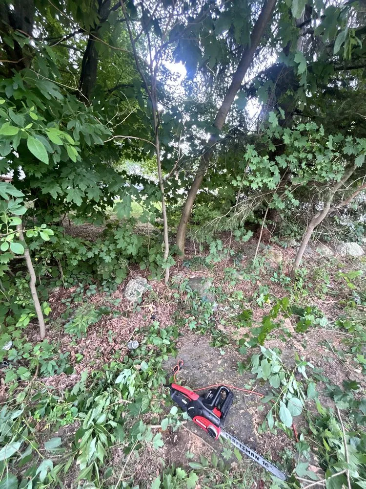 Affordable yard cleanup service in Bloomingdale, NJ by Charming Lawns Outdoor Services