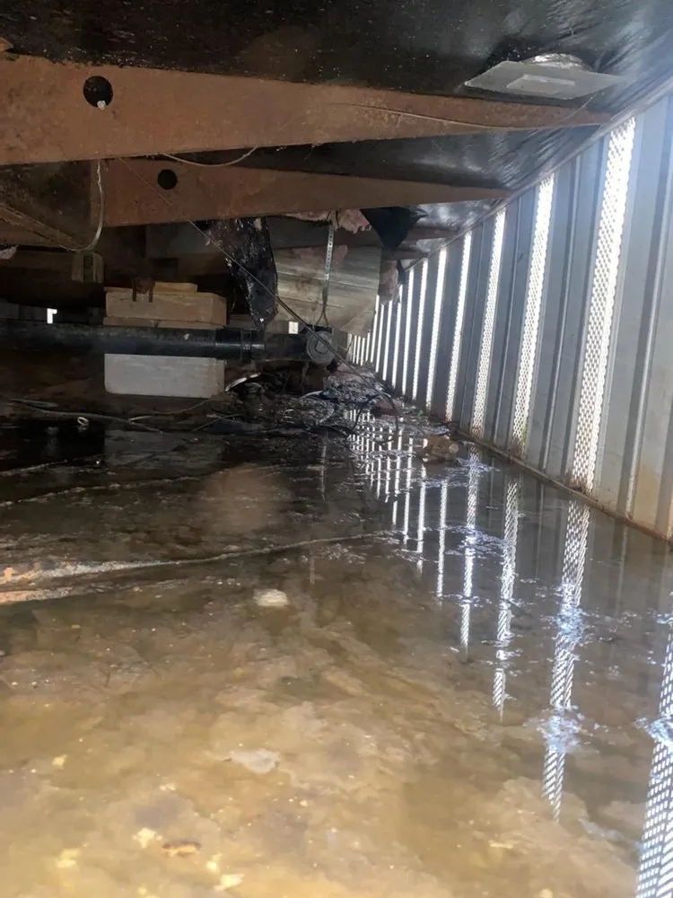 Local landscape installation in Greenville, SC by Charping Landscaping & Maintenance