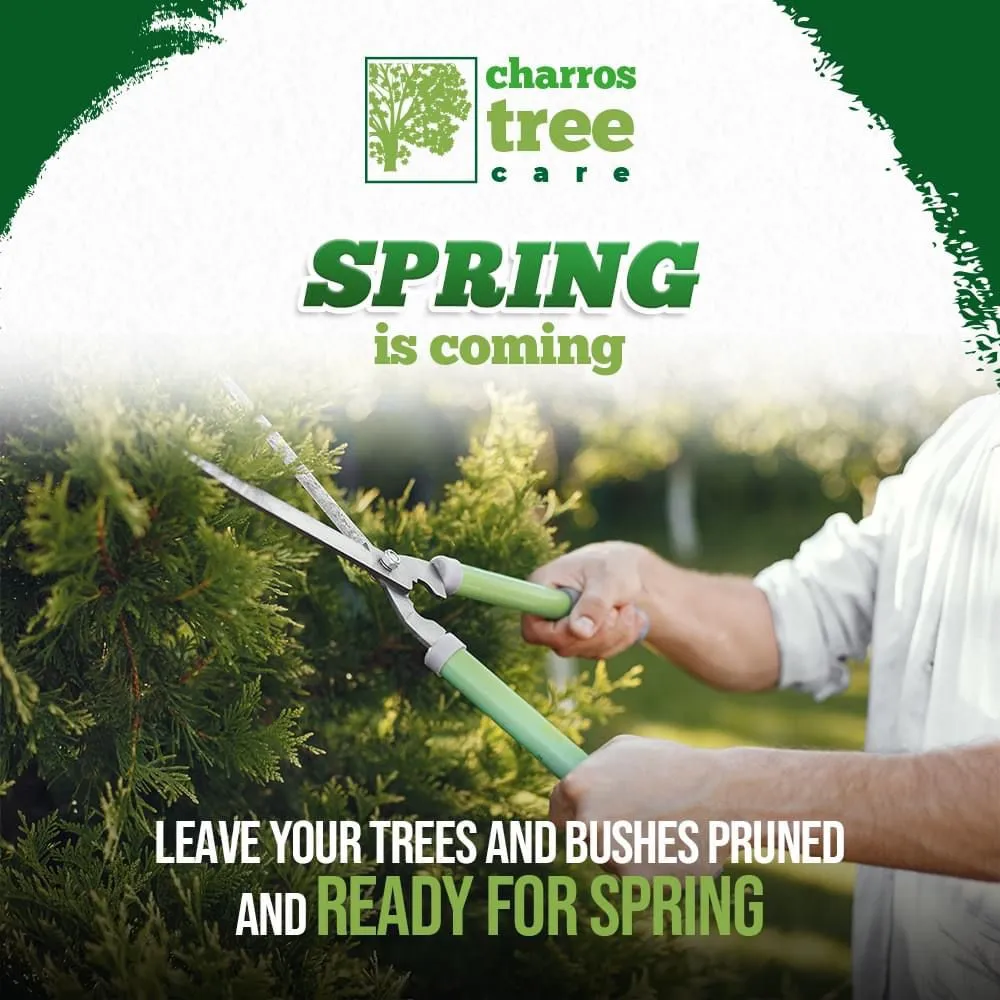 Local landscape installation experts serving Lombard, IL - Charros Tree Service