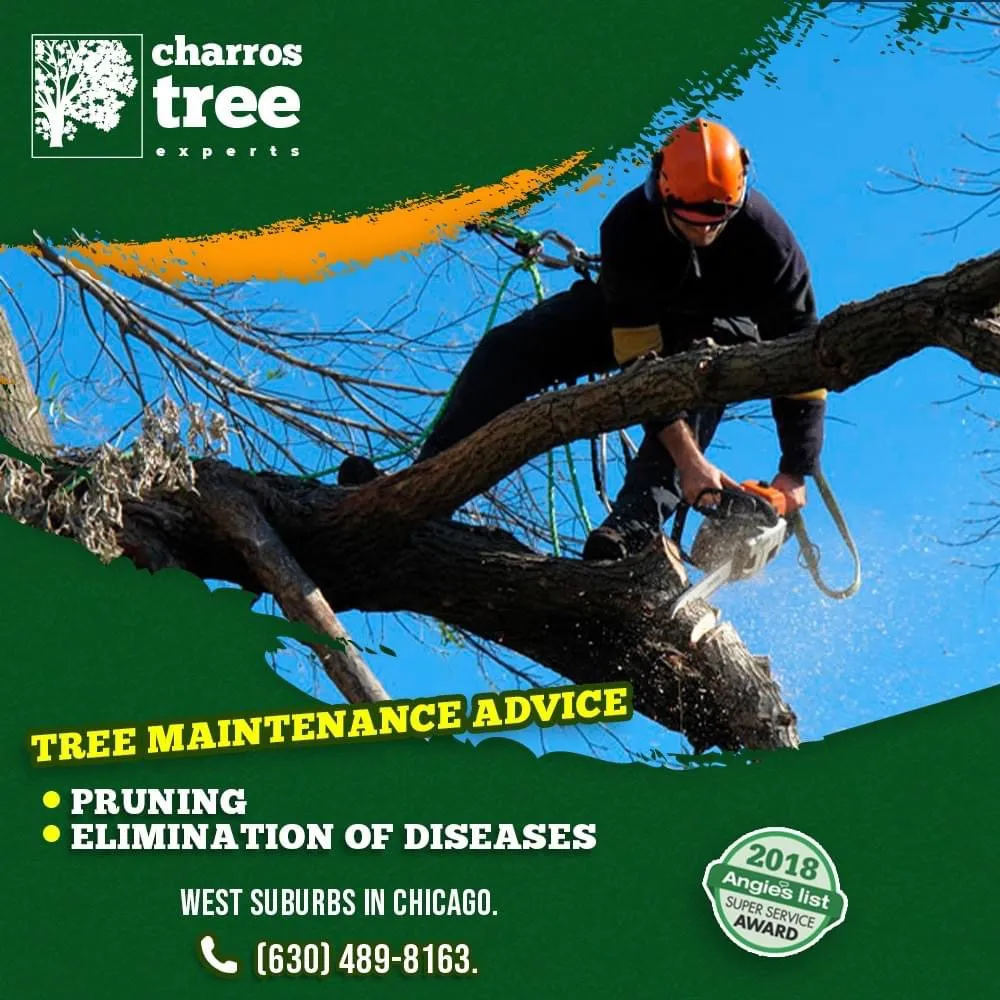 Trusted residential landscaping for residential properties across Lombard, IL - Charros Tree Service