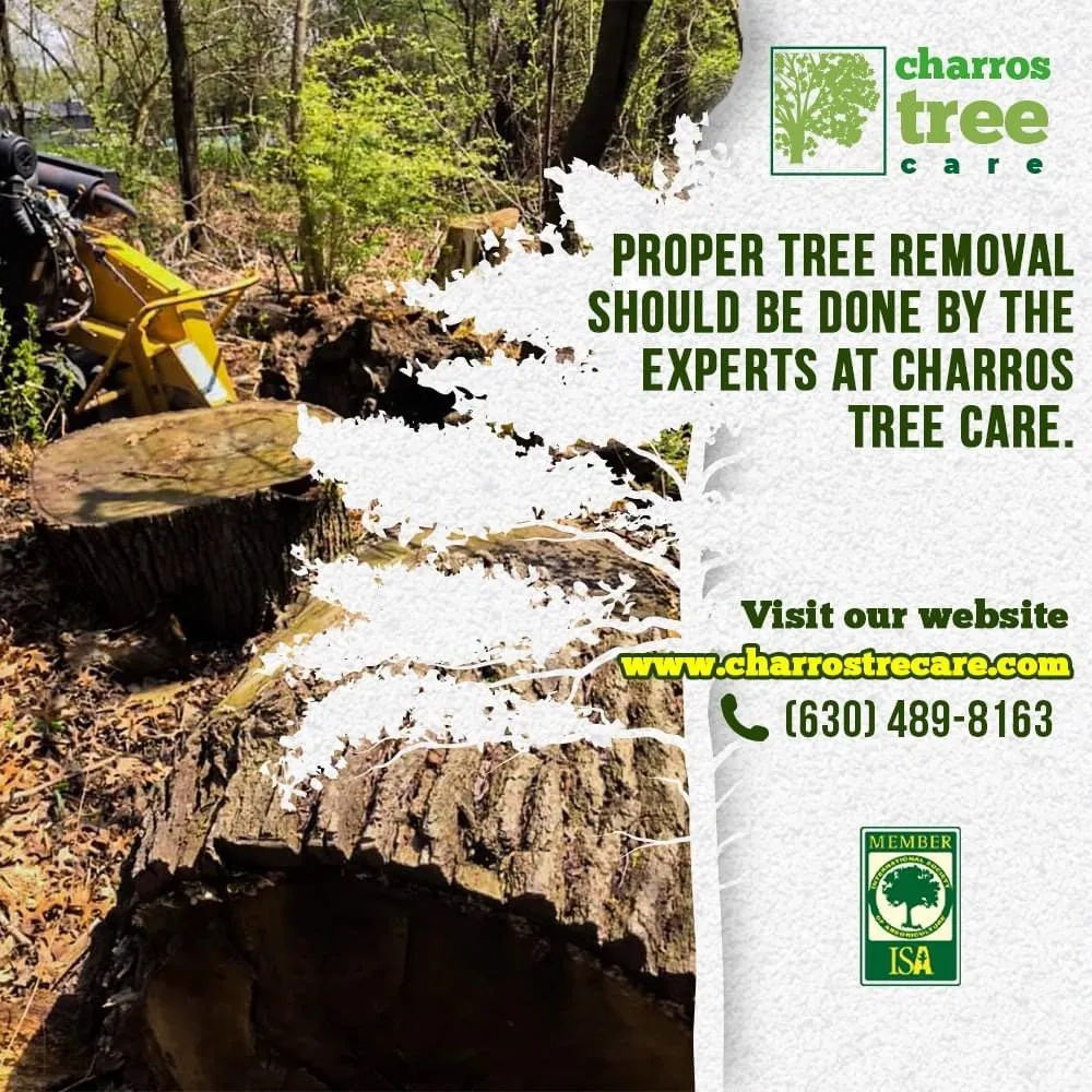 Trusted lawn mowing service for residential properties across Lombard, IL - Charros Tree Service