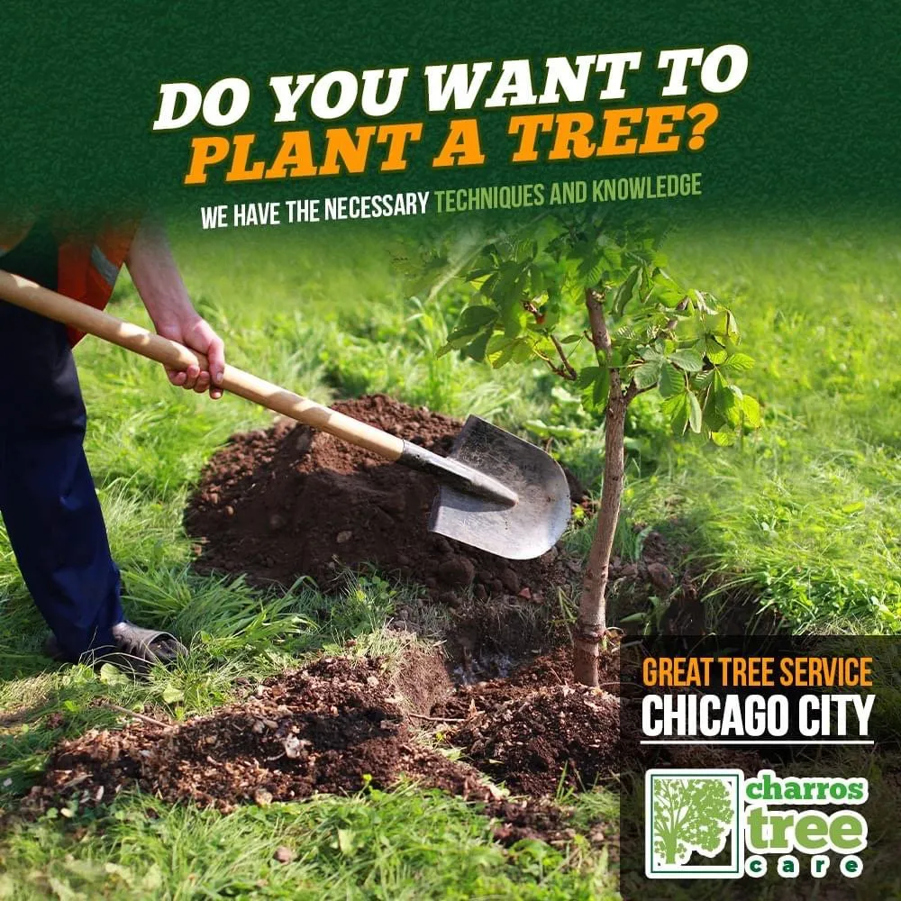 Professional landscape installation in Lombard, IL - Charros Tree Service