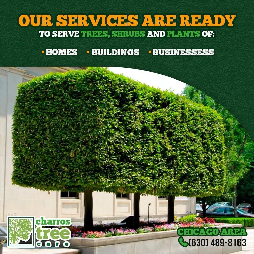 Professional garden landscaping for outdoor upgrades in Lombard, IL by Charros Tree Service