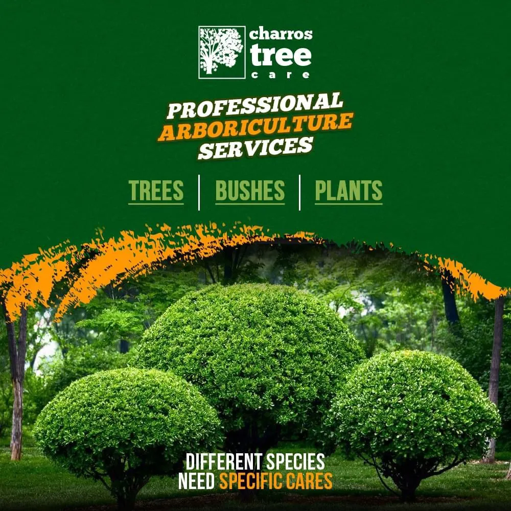 Affordable garden landscaping with custom design in Lombard, IL by Charros Tree Service
