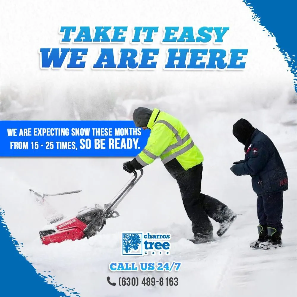 Trusted landscape design for outdoor upgrades in Lombard, IL by Charros Tree Service