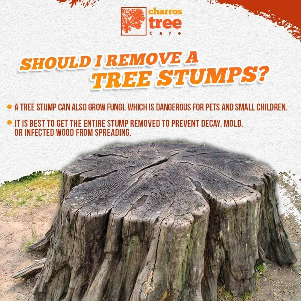 Professional lawn care service for outdoor upgrades in Lombard, IL by Charros Tree Service