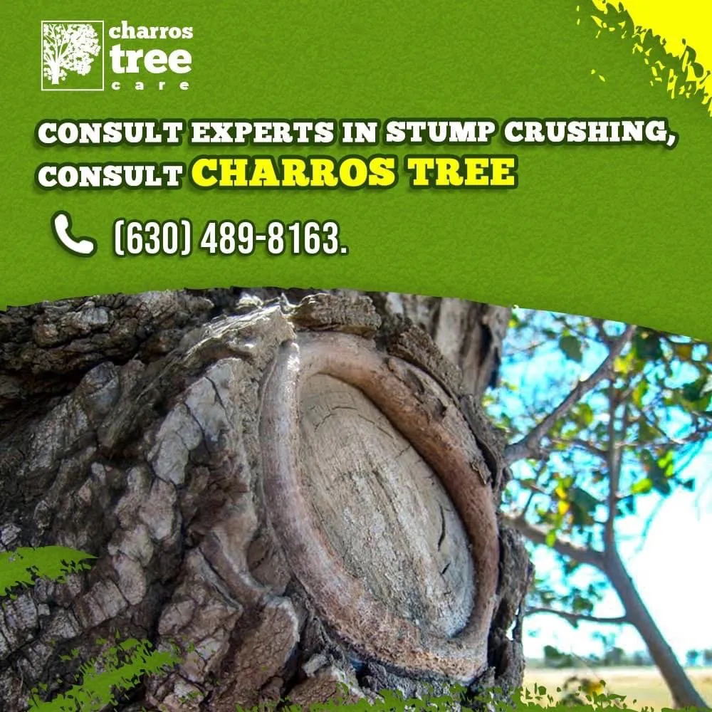 Top-rated landscape installation in Lombard, IL by Charros Tree Service