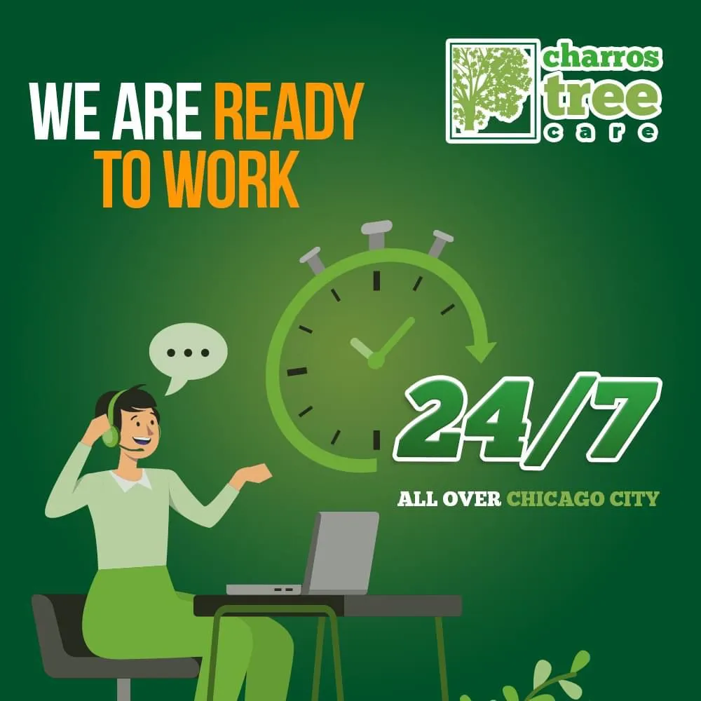 Top-rated residential landscaping for year-round maintenance across Lombard, IL - Charros Tree Service