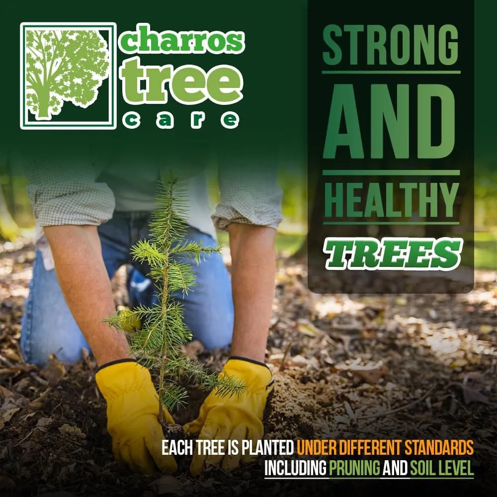 Affordable landscape design experts serving Lombard, IL - Charros Tree Service