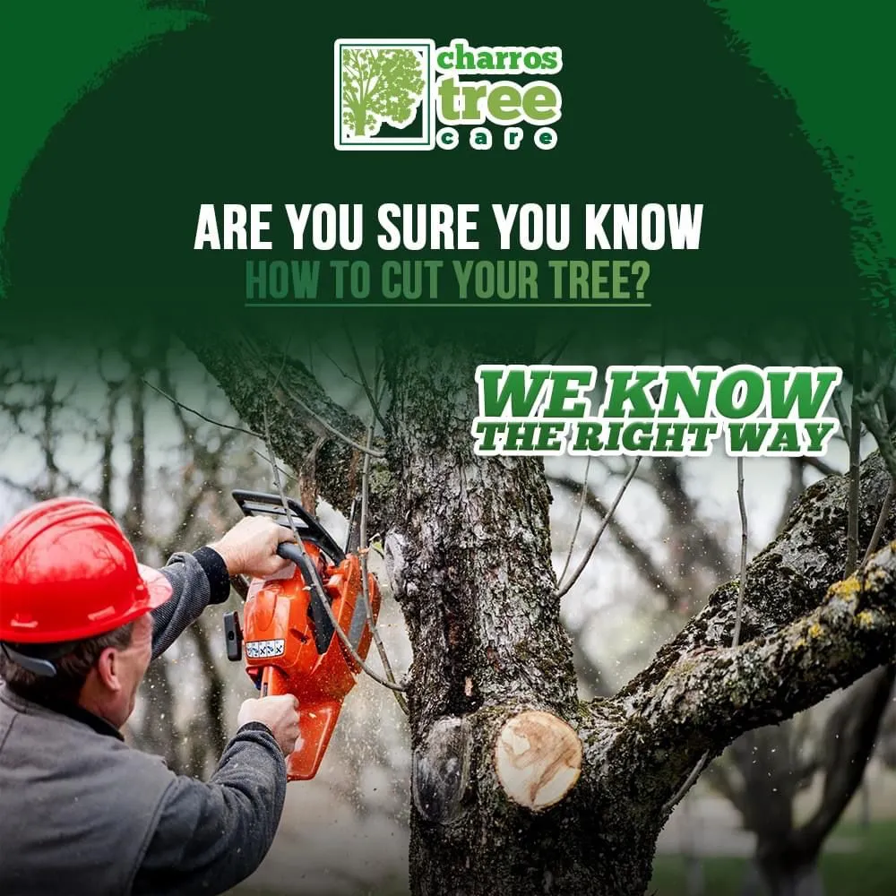 Reliable yard maintenance near you across Lombard, IL - Charros Tree Service