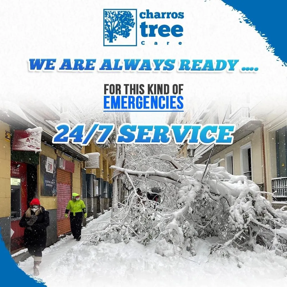 Expert lawn care service near you across Lombard, IL - Charros Tree Service