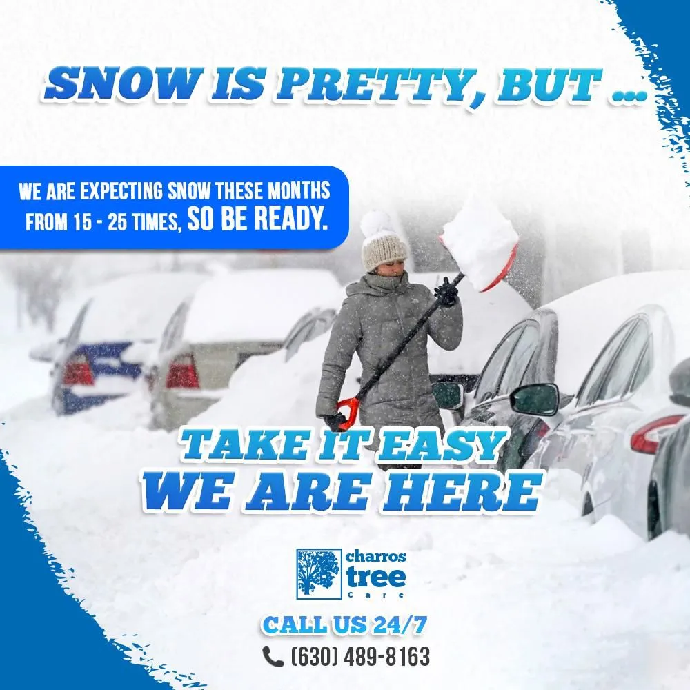 Professional outdoor landscaping in Lombard, IL by Charros Tree Service