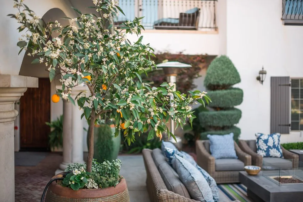 Professional lawn mowing service experts serving VISALIA, CA - Charter Oak Landscape Development