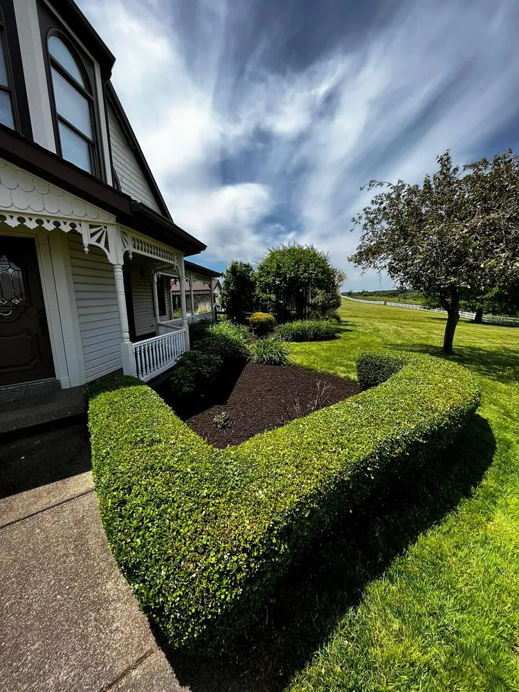 Affordable lawn mowing service for residential properties across Pearl River, LA - Charter Oaks Lawn Care and Landscaping