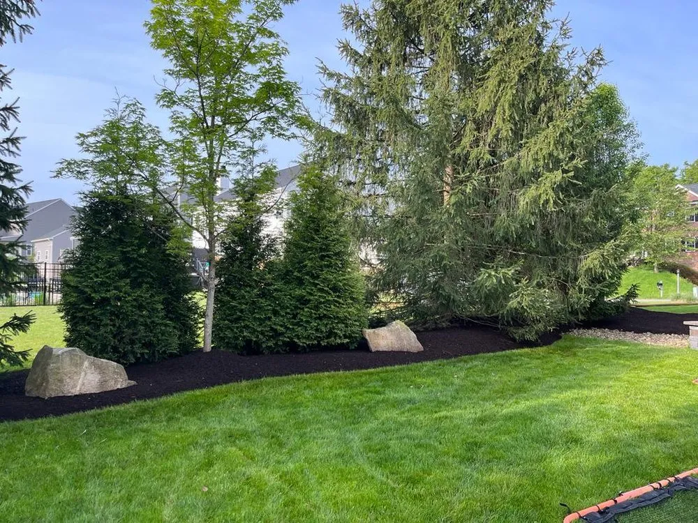 Local lawn care service in Pearl River, LA by Charter Oaks Lawn Care and Landscaping