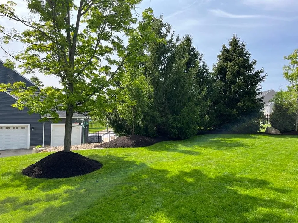 Expert landscape installation for beautiful yards in Pearl River, LA by Charter Oaks Lawn Care and Landscaping