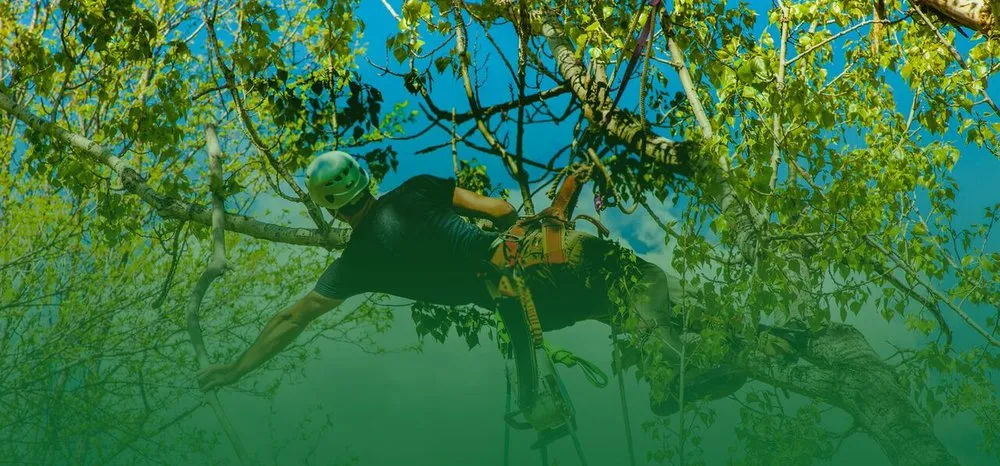 Reliable garden landscaping in Westerville, OH by Charter Oaks Tree & Landscaping