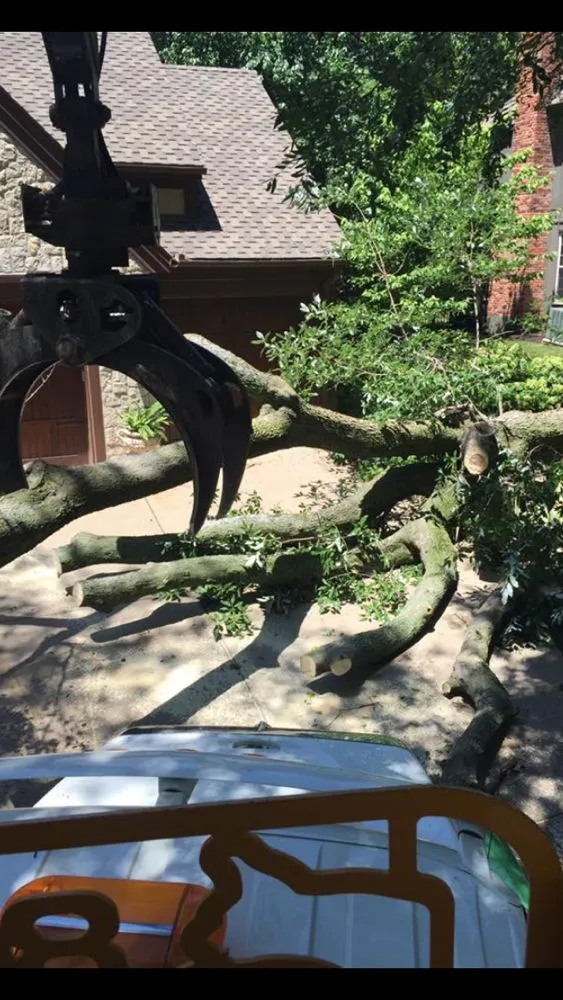 Local yard cleanup service with custom design across Westerville, OH - Charter Oaks Tree & Landscaping