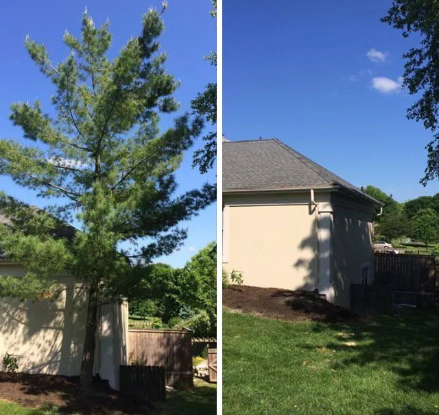 Reliable lawn care service experts serving Westerville, OH - Charter Oaks Tree & Landscaping