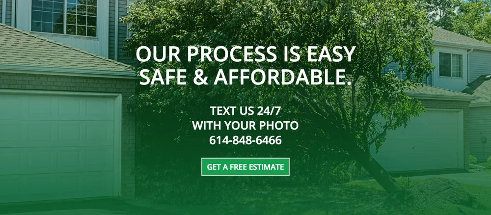 Professional yard cleanup service experts serving Westerville, OH - Charter Oaks Tree & Landscaping