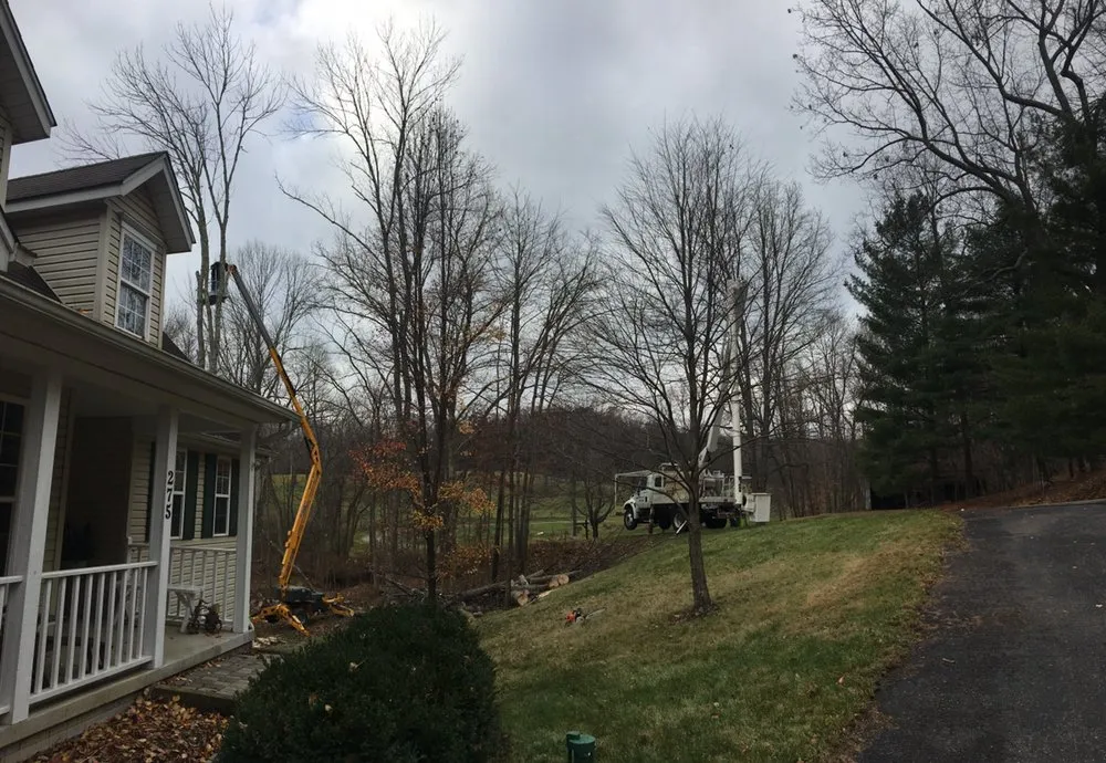 Professional lawn care service in Westerville, OH - Charter Oaks Tree & Landscaping