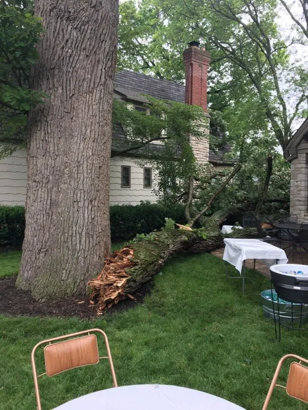 Custom landscape design in Westerville, OH by Charter Oaks Tree & Landscaping