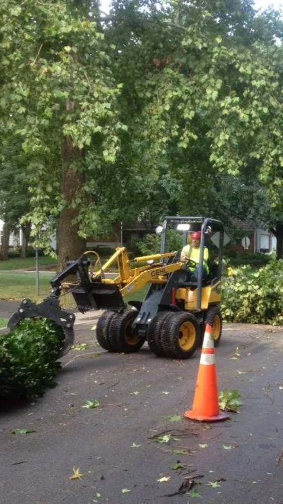 Affordable yard cleanup service in Westerville, OH by Charter Oaks Tree & Landscaping