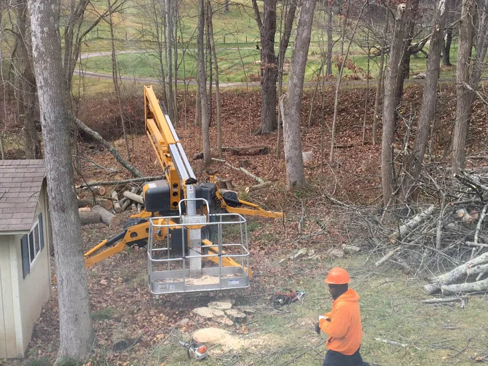 Professional landscaping services in Westerville, OH - Charter Oaks Tree & Landscaping