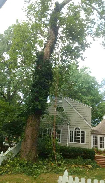 Custom outdoor landscaping experts serving Westerville, OH - Charter Oaks Tree & Landscaping