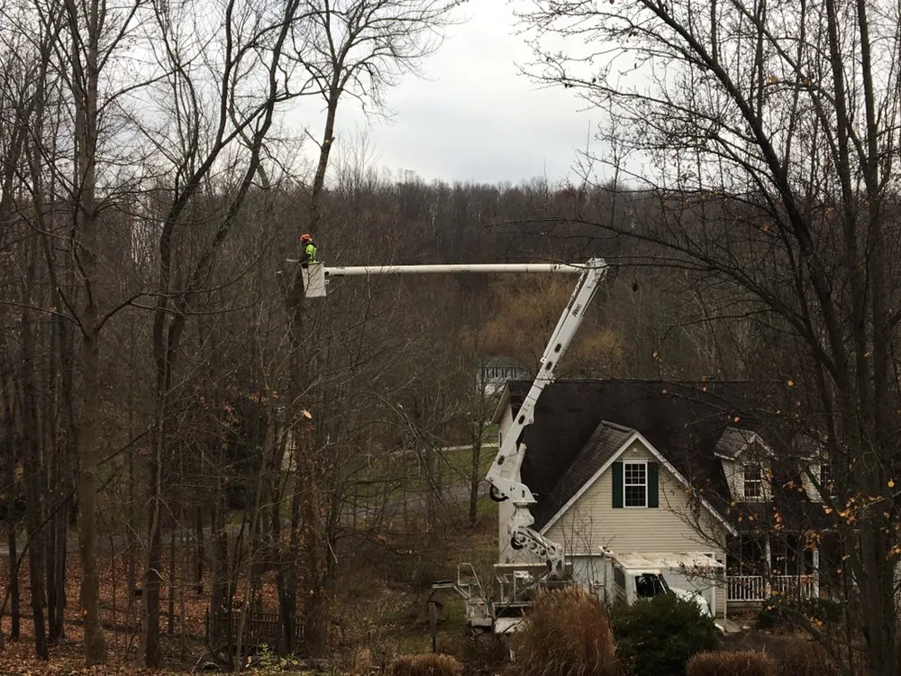 Trusted lawn care service for beautiful yards across Westerville, OH - Charter Oaks Tree & Landscaping