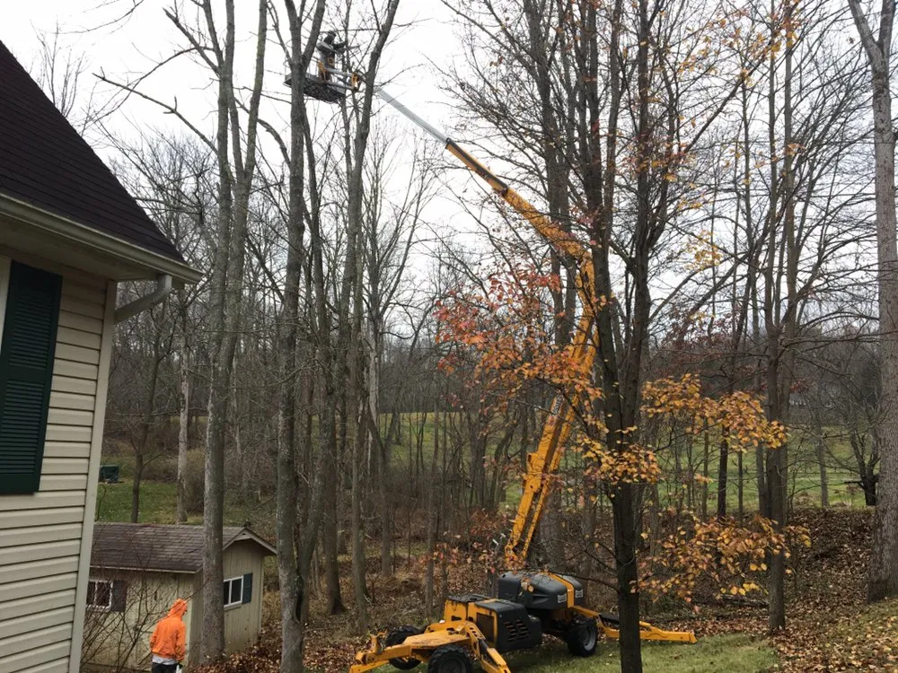 Custom lawn mowing service experts serving Westerville, OH - Charter Oaks Tree & Landscaping