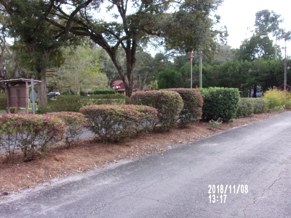 Top-rated landscaping services experts serving Brooksville, FL - Chartier Mowing Services